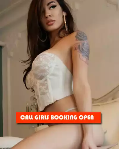 NRI Escorts in Noida